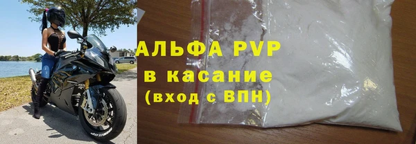 прущие грибы Горняк