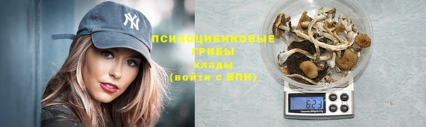 ешки Каменск-Шахтинский