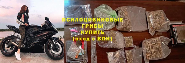 apvp Алексин
